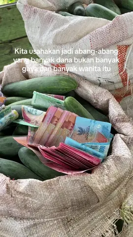 🙌🙌 #petaniindonesia🇮🇩🇮🇩🇮🇩🌿🌿 #petanitimun🥒 #petanimuda #bosmuda 