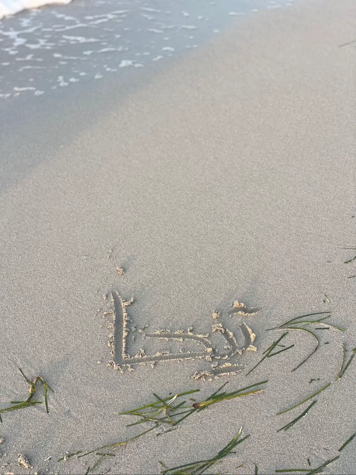 #fyp #libya🇱🇾 #tiktok #tunisia🇹🇳 #paratiiiiiiiiiiiiiiiiiiiiiiiiiiiiiii 