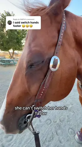 Replying to @DWPH James reply. #Horse #fifteencentcandybar 