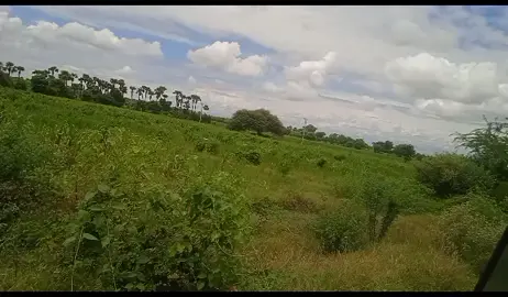 ရွာအလယ်ပြန်တုန်းက