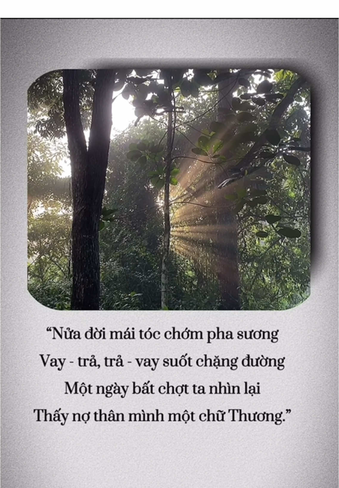 Nửa đời mái tóc chớm pha sương Vay - trả, trả - vay suốt chặng đường Một ngày bất chợt ta nhìn lại Thấy nợ thân mình một chữ Thương.