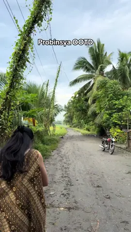 Pang malakasang duster 🍃🌳🌴🌾