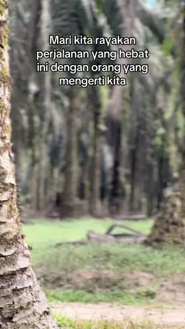 🙌 @@edo1111 #pemuatsawit #pemuatsawitriau #fyp #foryoupage 