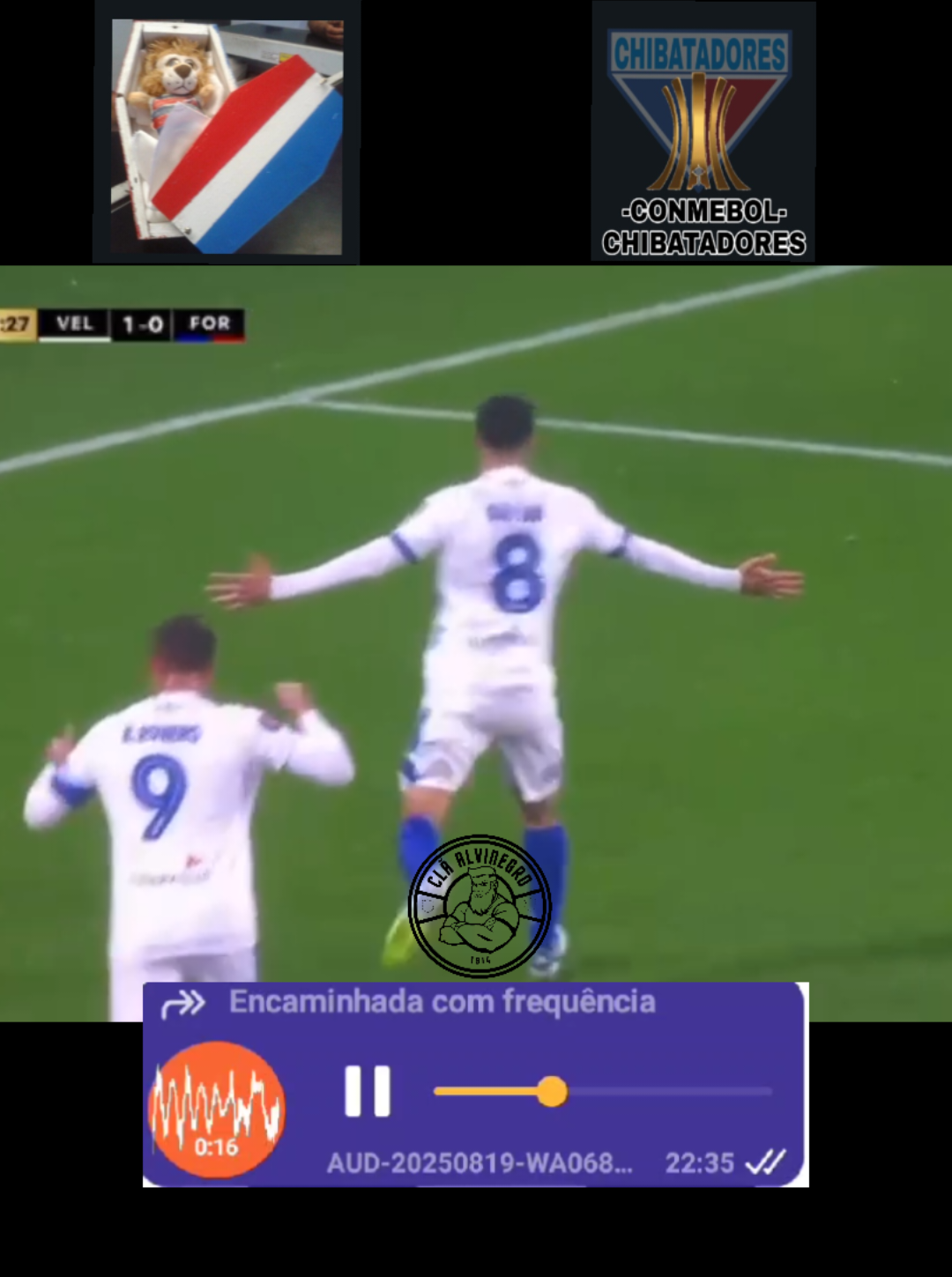 🤣🤣🤣🤣🤣  difícil parar de rir!  #claalvinegro #cearasc #brasileirao #fortalezaec #libertadores 