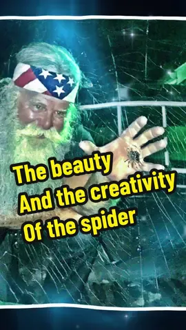 #onthisday We may build mansions with laborers and materials but the spider builds his home and store with its own inner self. Another one of God’s great creations. #bikerguru #beauty #spiders 