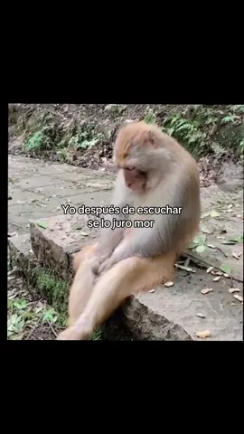 el mood de todos los que ya la escuchamos😭 #paratii #fyp #foryoupage #feid #ferxxo 