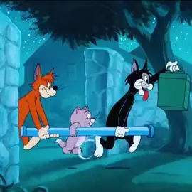 #fyp #cartoon #tomandjerry 