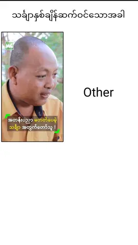 ဟာ...ငါ #fyp #creatorsearchinsights #xyzbca 
