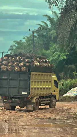 Lunyu kaka#fyp #viral #supirtruck #masukberanda 