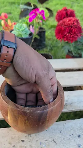 Learn how to make a powerful natural fertilizer at home using just a banana peel and eggshells! 🍌🥚 This easy DIY mix releases potassium, magnesium, and calcium to help your plants grow stronger, healthier, and more vibrant. Perfect for home gardens, potted plants, or anyone looking for an eco-friendly way to boost soil naturally. 🌱✨ #PlantHack #DIYGarden #HomeGarden #OrganicFertilizer #SoilBoost 