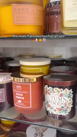 Fall has arrived at #marshalls! Send this to the friend you need to go fall shopping with ASAP! 🍂🛒 #fallaesthetic #marshallsfinds #fallvibes #marshallshaul 