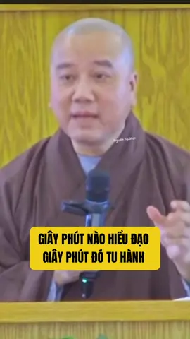Giây phút nào hiểu đạo giây phút đó tu hành #phatphapnhiemmau #thichphaphoa #nguyennguoiann 