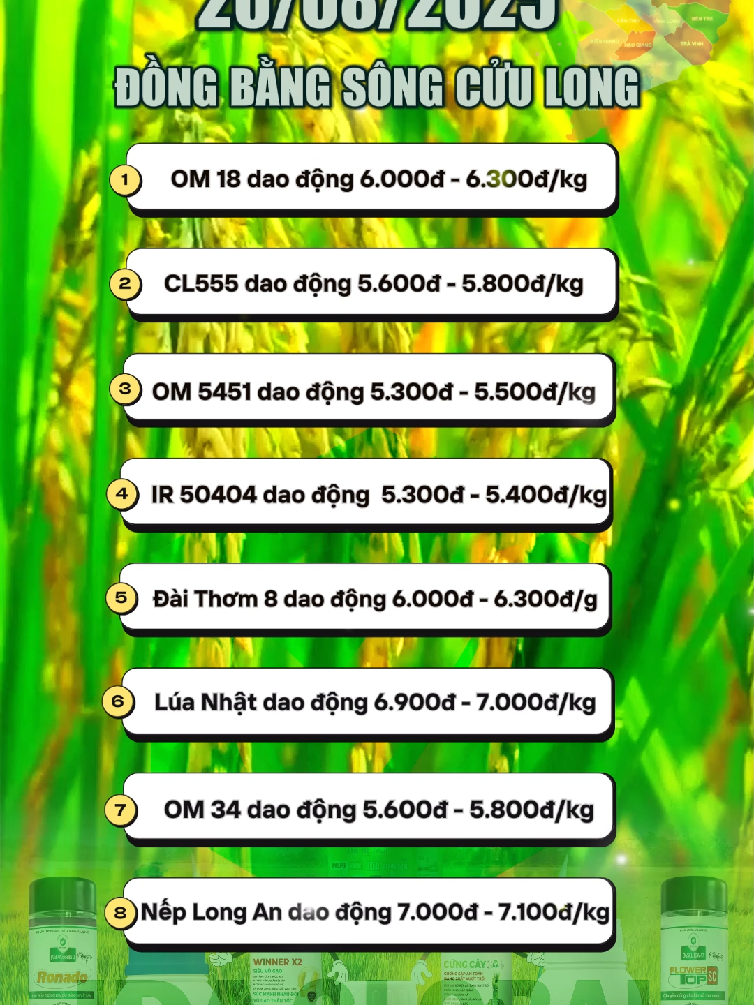Giá lúa gạo mới nhất hôm nay ngày 20/08/2025 tại các tỉnh khu vực DBSCL!#idaglobal #gialua #giagao #dongthap #angiang #haugiang #luagao #dbscl #gialuahomnay #gialuagao