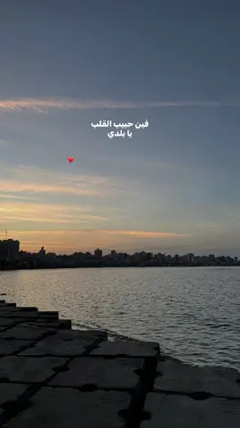 #fyp #foryou #elissa 