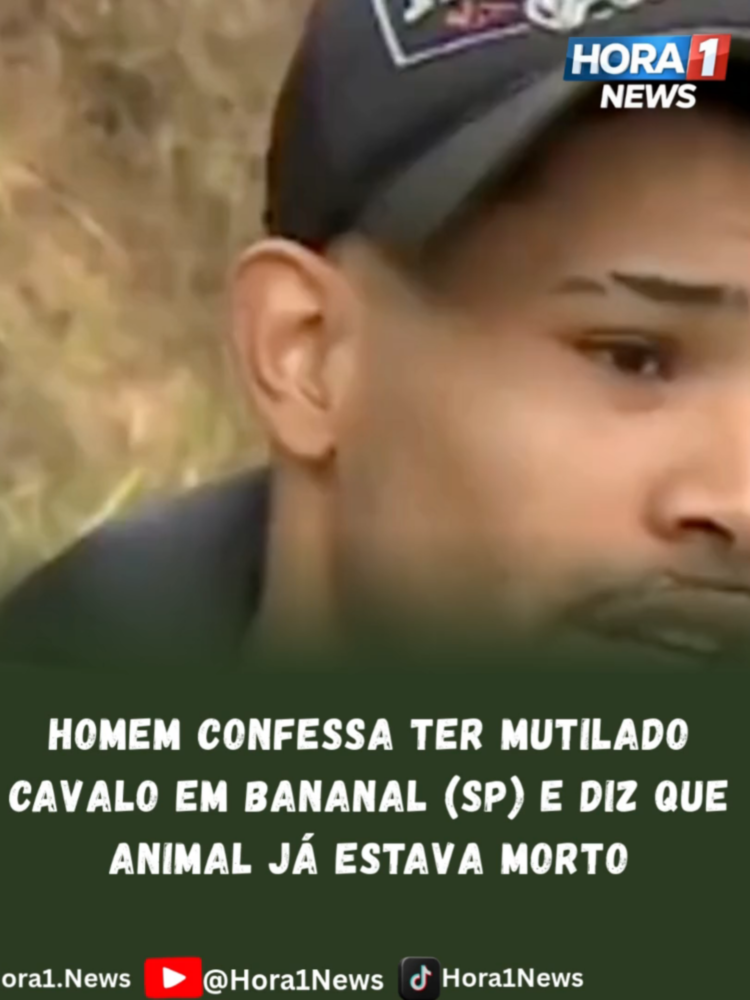 Um jovem de 21 anos confessou ter mutilado um cavalo em Bananal (SP), mas alegou que o animal já estava morto quando teve duas patas decepadas com um facão. Em entrevista à TV Vanguarda, Andrey Guilherme Nogueira de Queiroz afirmou que estava “embriagado e transtornado” no momento do ato e negou ter praticado crueldade contra o cavalo. A Polícia Civil investiga se a mutilação ocorreu antes ou depois da morte do animal. Pela legislação brasileira, o crime de maus-tratos prevê pena de 3 meses a 1 ano de detenção. O acusado disse estar arrependido e declarou: “Estão me julgando e falando que eu sou um monstro. Eu não sou um monstro.” #crime #saopaulo #cavalo #cnn