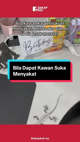 Nasib lah eyrk dapat kawan suka menyakat. Dengar cerita pindah ofis sebab geli nak pegang 😂 📹 @Jezzbeyl  #member #menyakat #cicak 