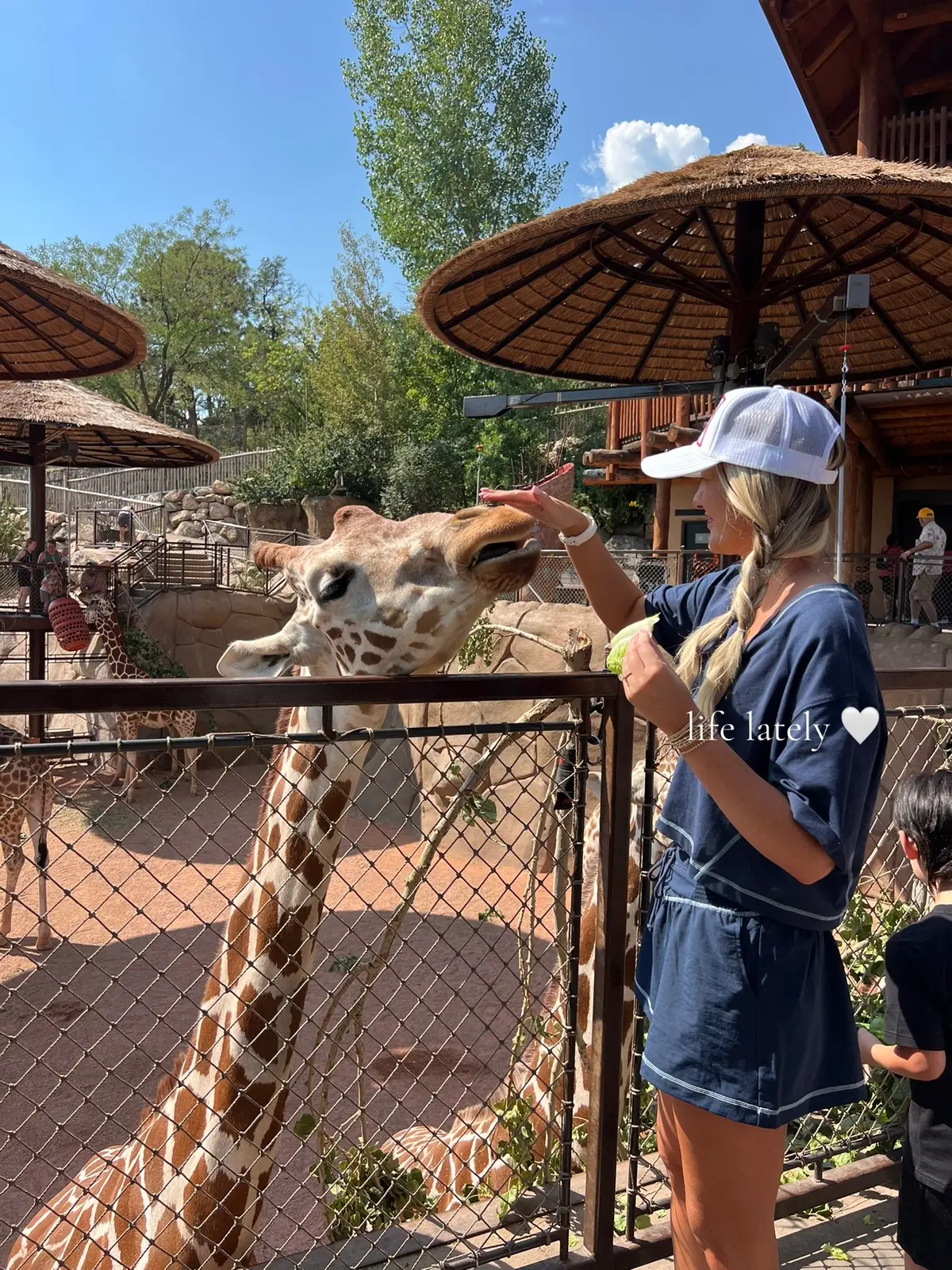 🦒🍩🐧👯🌮🌊☀️🌿
