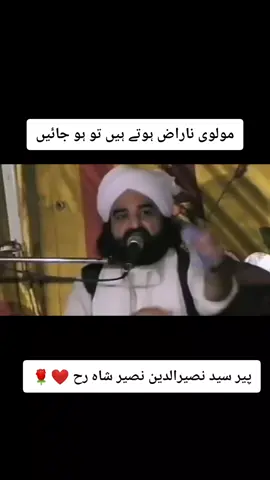 مولوی ناراض ہوتے ہیں تو ہو جائیں #foryou #foryou #foryoupage #panjtanpak #malikadnankhan15 