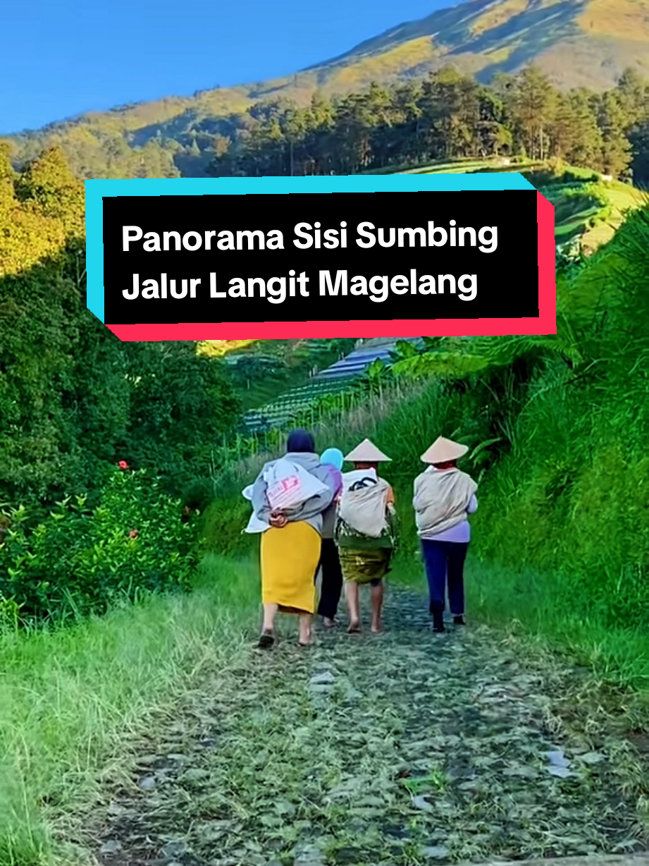 Suasana pagi di lereng sisi gunung sumbing magelang jateng🌿😍 ❤#sisisumbing #gunungsumbing #magelangexplore #lagujawa #padahariini 