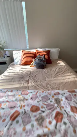 Bedroom tour! She has a long way to go #apartmenttour #budgetfriendly #decor 