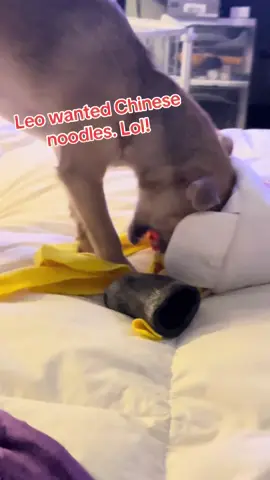 #emilio #noodletoy #leo #foryoupage  #romeysworld 