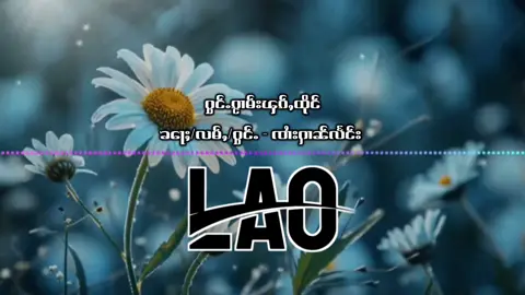 ႁွင်ႉၵႂၢမ်းၾၵ်ႇထိုင်  ​​ၶေႃႈ/လမ်ႇ/ႁွင်ႉ - ၸၢႆးႁၢၼ်လႅင်း #lao #ရှမ်းသီချင်း #ၽဵင်းၵႂၢမ်းဝၢၼ်ႁူ 