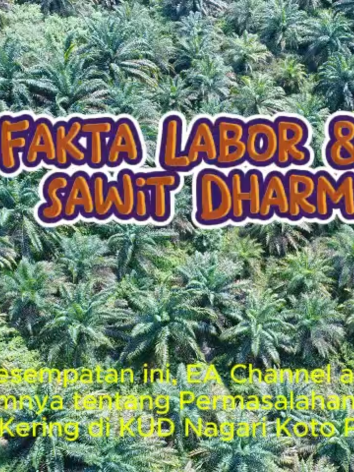 “Banyak petani sawit di Nagari Koto Padang, Dharmasraya menghadapi masalah pelepah daun bagian bawah yang kering akibat kekeringan. 🌴🔥 Video ini membahas solusi praktis mulai dari pengapuran, pemberian pupuk makro & mikro, hingga pengelolaan air dan drainase. Mari kita bangun sawit yang produktif dan berwawasan lingkungan. 🌱✨”  #SawitDharmasraya #SawitIndonesia #PerkebunanSawit #PetaniSawit #SolusiPertanian #TanamanSawit #EAChannel #PertanianBerkelanjutan #Agribisnis #PetaniMilenial #KebunSawit #NagariKotoPadang