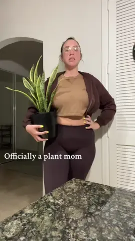 I think I will name him Sunna #foryou #fyp #plantsoftiktok #plantmom #snakeplant 