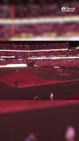 Tarantula trot at CBP 🕷️ >>>