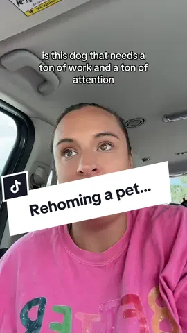 Please be kind and please listen to the whole thing before passing judgement 💕 #rehomingpets #rehomingdog  #saintbernard 