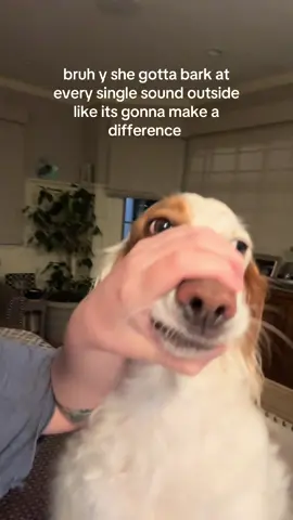 manually silencing women one at a time #dog #dogsoftiktok 