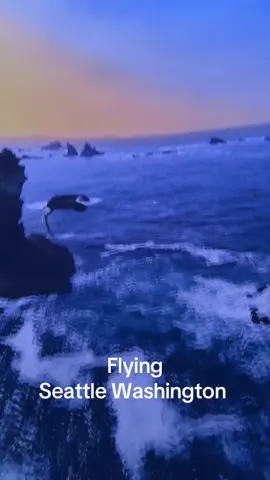Flying Washington 