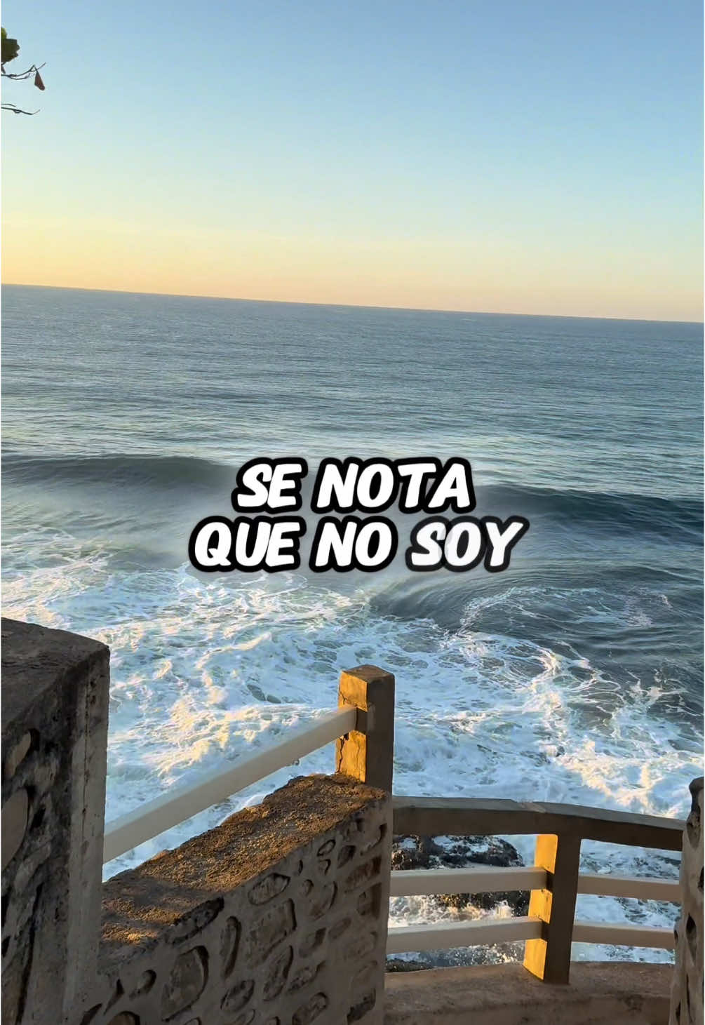 Se nota que no soy tu prioridad 💔 #diferentenivel #nosoytuprioridad #carolinaross #musica #cancion #desamor #dedicar 