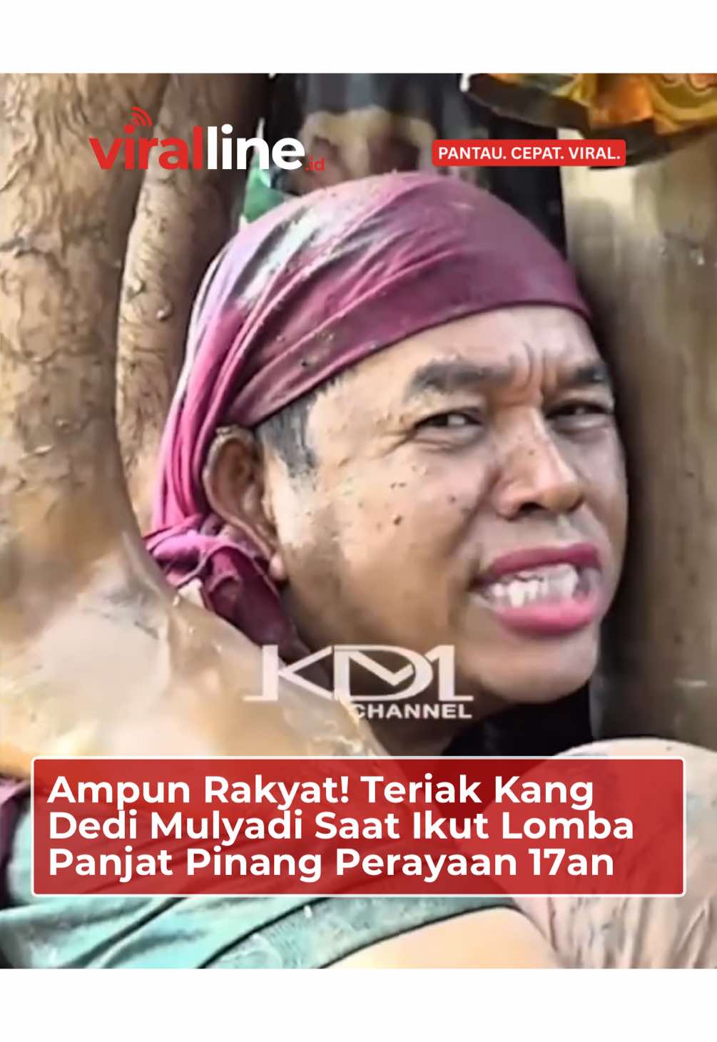 Ampun Rakyat! Teriak Kang Dedi Mulyadi Saat Ikut Lomba Panjat Pinang Perayaan 17an #kangdedimulyadi #panjatpinang #hutri #beritatiktok #beritaviral 