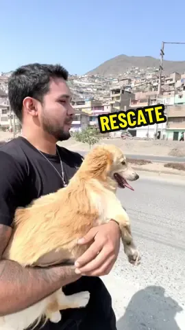#fyp #paratiiiiiiiiiiiiiiiiiiiiiiiiiiiiiii #tiktok #viral #pet 