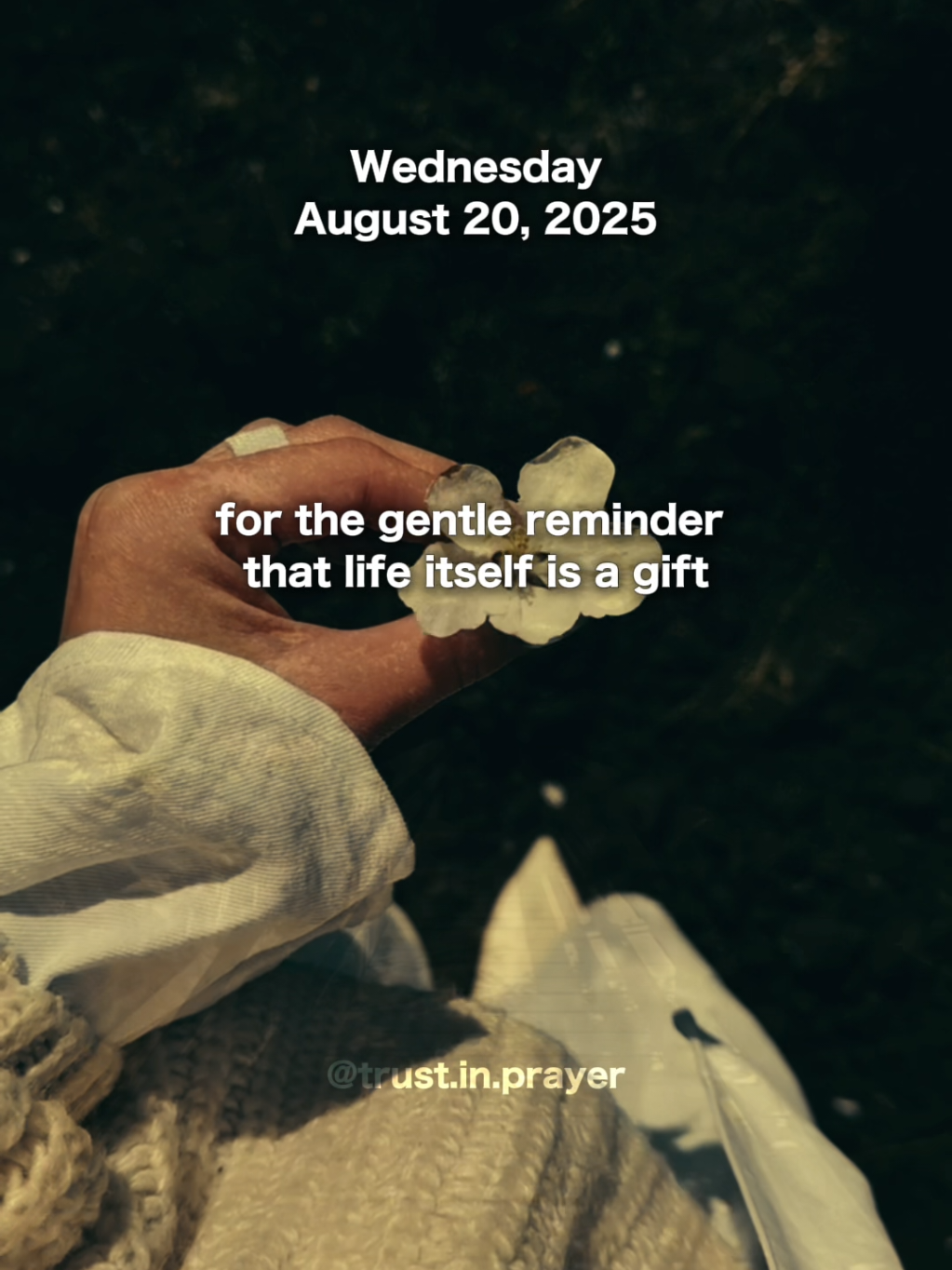 Wednesday prayer to start the day with Jesus. August 20, 2025 #morningprayer #dailyprayer #letuspray #Jesuslovesyou 