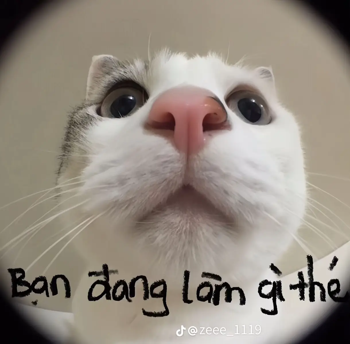 =))) #tft #lienminhhuyenthoai 