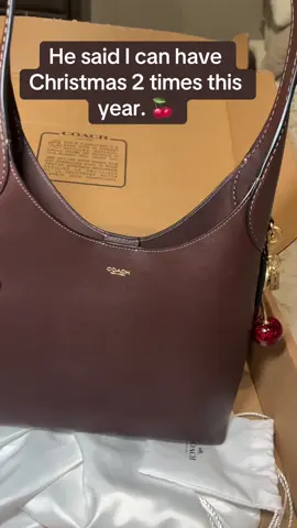 Feeling like it’s time for fall. Brooklyn 28  ♥️ Zaddy said I’m on the nice list. 🍒 #fyp #foryoupage #fypシ #coachbag #coachbrooklynbag @Coach 