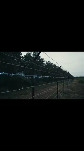 รั้วลวดหนามไฟฟ้า
