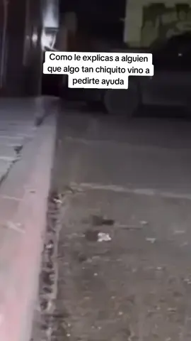 Solo quería que le quitaran un plástico de su patita 