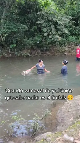 #perritos #fyp #humor #firulais #tiktok  Cada que vamos a nadar es el único que se pasea con sus patas cortas bien feliz nadando 