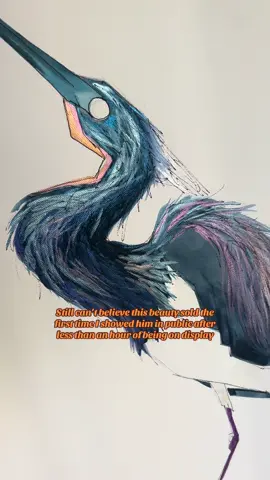 Tricolored Heron, what an absolute JOY to paint. Record making beauty at that selling after his first hour on display. My name is Hannah and Im a traditional, transparent, watercolor artist. Im painting every bird in North America. You know you wanna give us a follow. #impaintingeverybird #birdart #watercolorbirds #BirdArt #LimitedEdition 