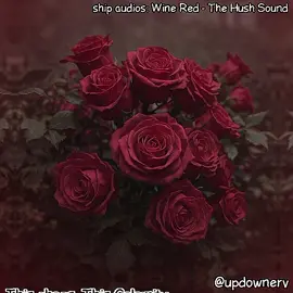 insert caption #thehushsound #shipaudio #shipaudios #fyp #edit 