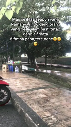 #fypシ゚viral🖤tiktok☆♡🦋myvideo rindu papa,tete,nene syg Skali Qypa pergi Secepat Itu🥹🥹🥹