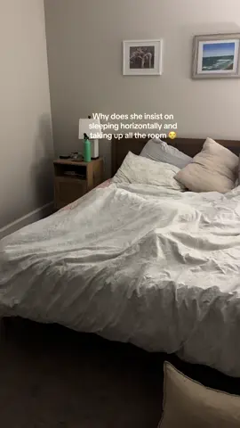 Where do I go lol 