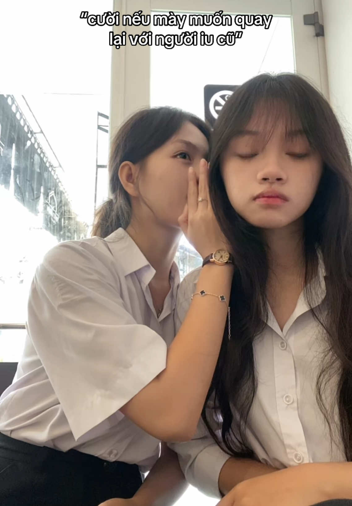 @hai meo hiểu vấn đề ngay😏                  #xh #fyp 