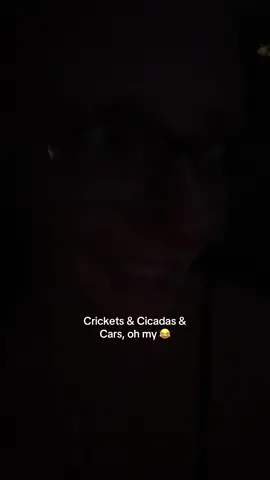 Just telling it like it is… 🤷‍♀️😂🧚 #crickets #cicadas #nighttime #asmr #asmrsounds 