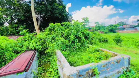 আমাদের শেষ ঠিকানা 🥺💔 #foryou 