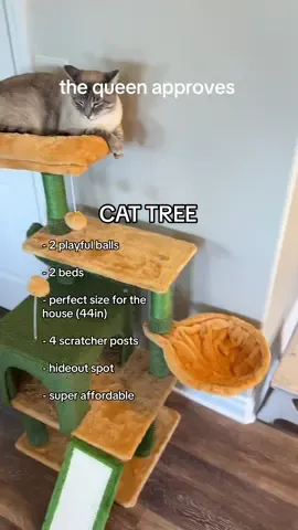 Oh how we love our cat tree!!! #cattree #affordablecattree #catmom #catlover