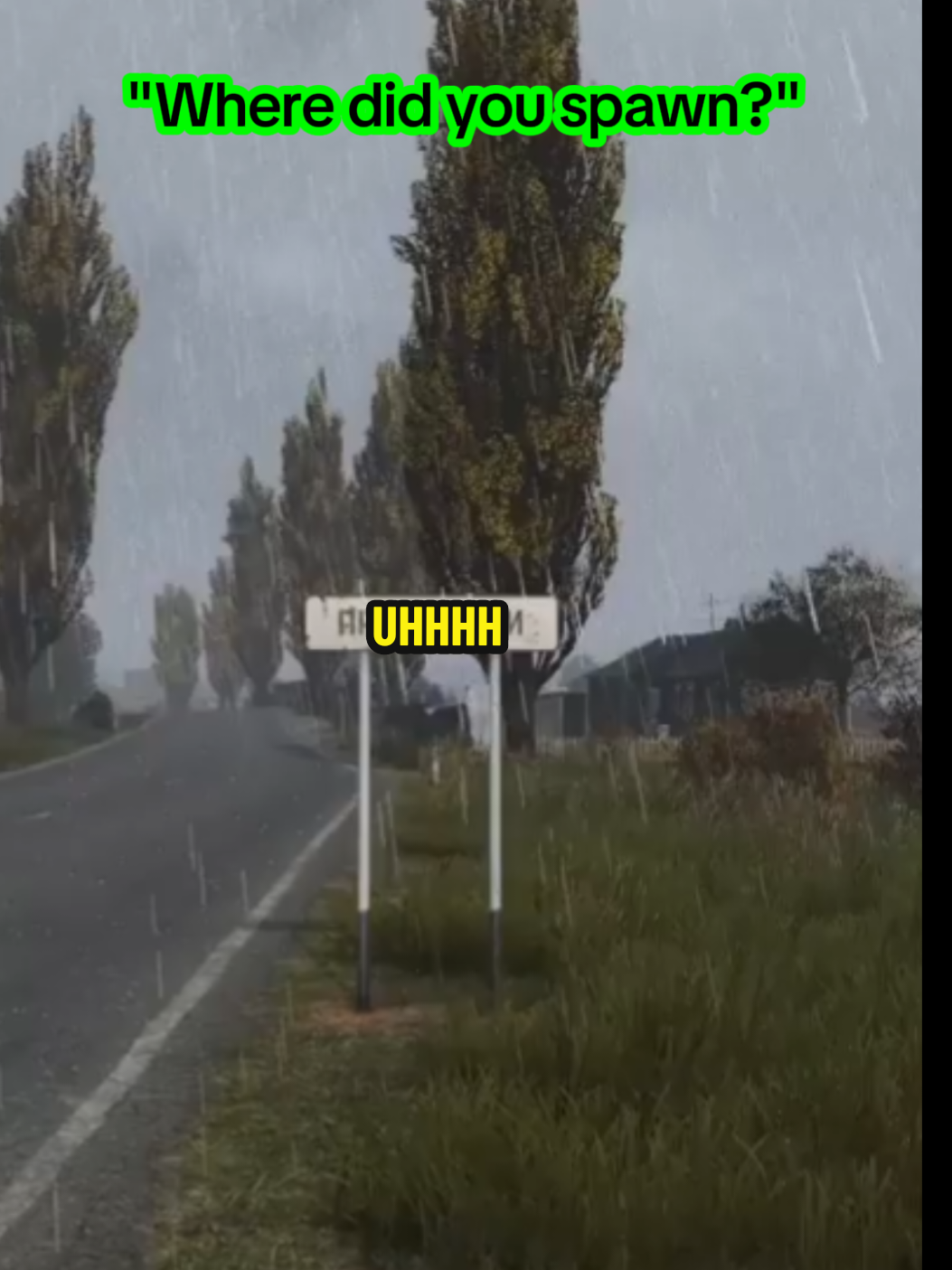 Uhhhhh I'm on a road by some train tracks? #dayz #dayzfunnymoments #dayzchernarus #fyp #pcgaming 